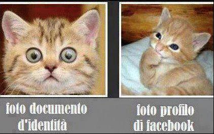Immagine Divertente - 31/01/2013
